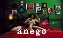 Anego ǤѺ ( ) 2DVD 