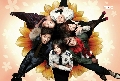 DVD:Me Too , Flower! (Ѻ) 1 DVD(蹷 1/͹1-4) ѧ診...ѾഷDVD͡...