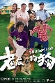 dvd չ ͧ ͧѺͧ /a watchdog's tale[ҡ] DVD 4 蹨