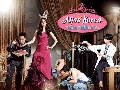 dvd   Miss Korea Դ繴 -ҡ 5 dvd-  ͡ 2014