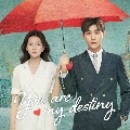 [չѺ] You Are My Destiny( ԢԵ )DVD 6  