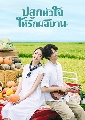 dvd-My Goddess / ปลูกหัวใจให้รักผลิบาน ซีรี่สไต้หวัน (พากย์ไทย) 4 แผ่นจบ