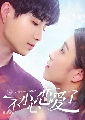 I Fell in Love By Accident /dvd ֡ѡ 㨤س չ (Ѻ) 2 蹨