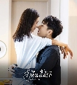 DVD չ (ҡ) : Ӥ׹ѡ Love At Night 6 蹨*ҡ