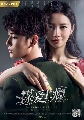 dvd Conspiracy of Love (2019) 鹫͹ѡ (Ѻ) 5 dvd-