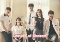 Seasons of Blossom (2022) ѡ 㨺ʫ Ѻ Ep.1-16 () 4 蹨