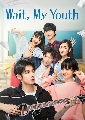 DVD ซีรีย์จีน : Wait Up My Youth (2019) รักหลุดสเปค 4 แผ่นจบ