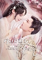 Romance of a Twin Flower (2023) ػ§ѹ Ѻ 8 dvd-