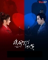 DVD չ (ҡ) : Love is Written in the Stars (2023) 觴ԢԵѡ 6 蹨